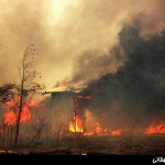 نابودی ۲ هزار متر جنگل در آتش سوزی جنگل های میاندورود نابودی ۲ هزار متر جنگل در آتش سوزی جنگل های میاندورود