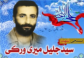 shahid-ghavas5