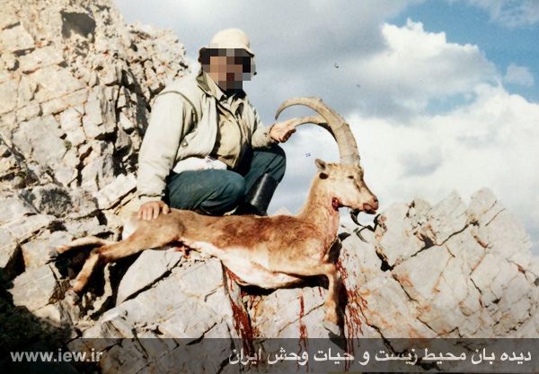 شکارچی حرفه ای بالاخره دستگیر شد + تصویر