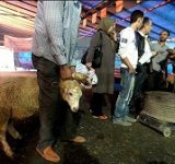 اطلاعیه دانشگاه علوم پزشکی مازندران در آستانه عید قربان اطلاعیه دانشگاه علوم پزشکی مازندران در آستانه عید قربان