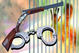 متخلف حمل اسلحه غیرمجاز در نکا دستگیر شد