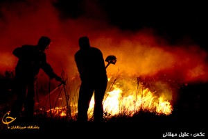 آتش سوزی عمدی شب گذشته در دامداری زرین آباد ساری 