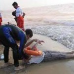 غرق شدن جوان مسافر در دریای شرق مازندران