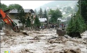 تخریب 3واحد مسکونی و تلف شدن 30راس گوسفند در نکا