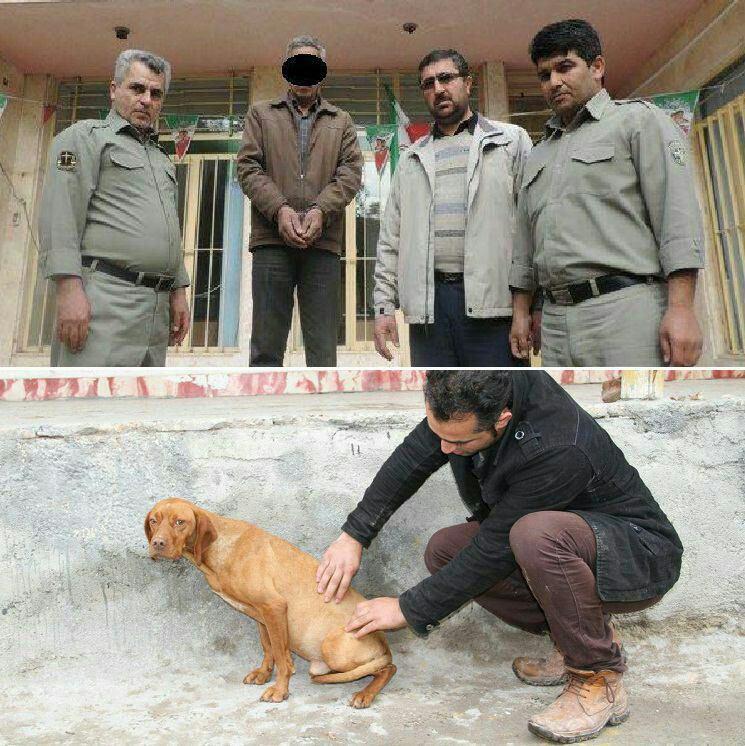 عامل حیوان آزاری که یک سگ را کتک می زد در گلستان بازداشت شد+عکس