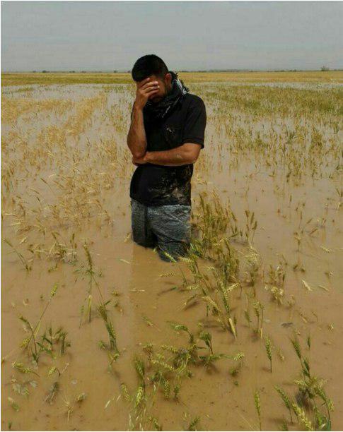 اندوه کشاورز پس از سیل امروز+عکس