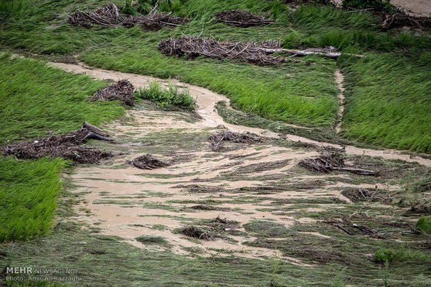 دو هزار هکتار از زمین های کشاورزی نکا در سیل خسارت دید