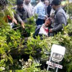 یک کشته و 11 مجروح در سقوط درخت و سیم برق بروی عزاداران در بهشهر