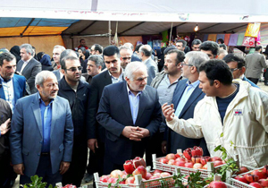 جشنواره چهارم انار اشرف در شرق مازندران آغاز شد
