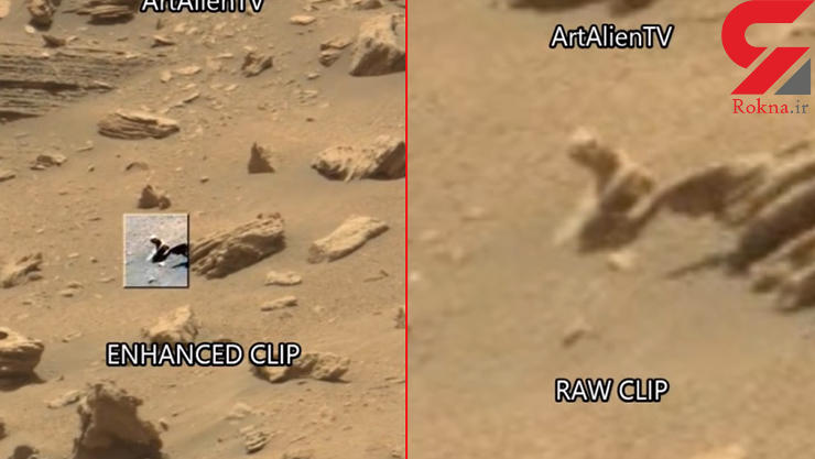 کشف موجود فضایی در مریخ + عکس