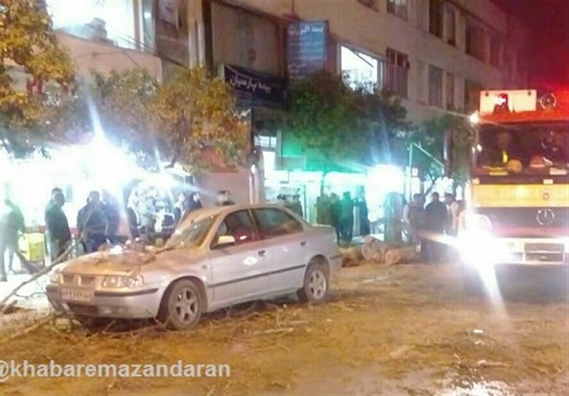 جزئیات سقوط درخت بروی چند دستگاه خودرو در ساری+ تصاویر