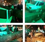 جزئیات سقوط درخت بروی چند دستگاه خودرو در ساری+ تصاویر