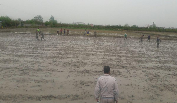 برگزاری مسابقات فوتشال ( فوتبال در شالیزار) در روستای دامیر شهرستان ساری+ تصاویر