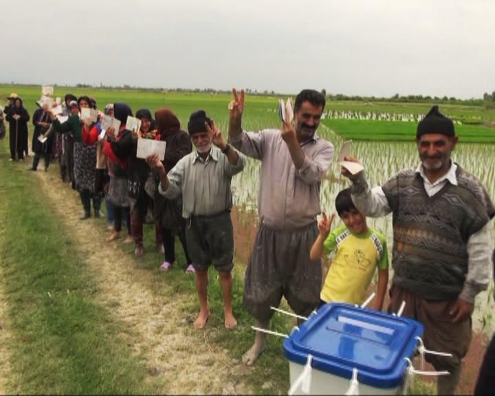 کشاورزان شالیکار در شرق مازندران هم رای دادند