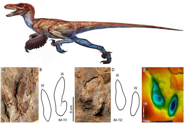 جزئیات کشف ردپای دایناسور در مازندران 