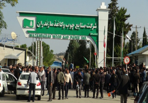 اعتصاب کارگران صنایع چوب و کاغذ مازندران 