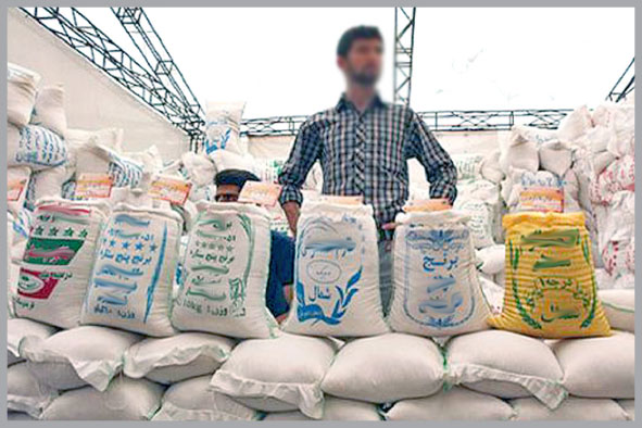 رئیس سازمان جهاد کشاورزی: نمی‌توان دور مازندران را دیوار کشید / استاندار : واردات برنج با حواله رانت و فساد است