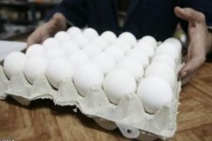 ورود تخم مرغ  420 تومانی به مازندران